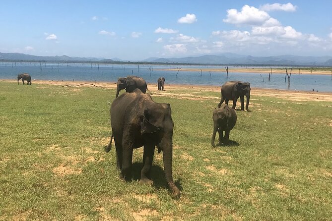 Multi Day Private Tour Around Sri Lanka with our Personal Driver - A private driver in Sri Lanka that actually adapts