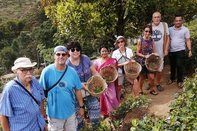 Multi Day Round Private Tour in Sri Lanka - Is This Sri Lanka Round Tour for You?