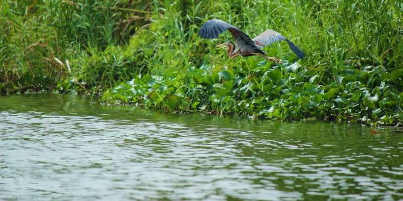 Muthurajawela Bird Watching Tour from Negombo and Colombo - The visitor center start: briefing, safety, and getting your gear ready