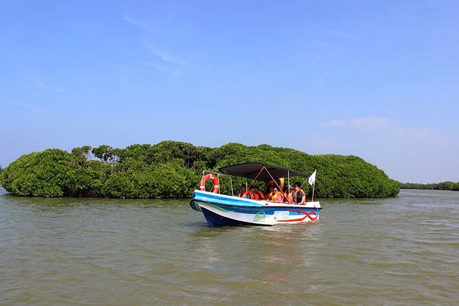 Muthurajawela Bird Watching Tour from Negombo / Colombo - Key Things I Think You’ll Care About