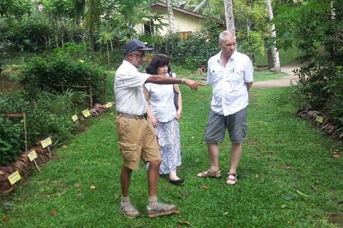Nandana Tea Walking Tour in Sri Lanka - Price and value: what $78 gets you, and the tea purchase perk