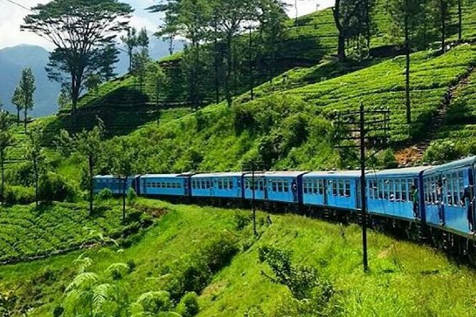Nanu Oya to Ella train ride on (Train No: 1005 "Podi Menike") - Key Things That Make This Nanu Oya to Ella Train Ride Work