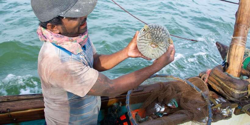 Negombo: Catamaran Sailing with Traditional Fishermen - The Sail Launch in Negombo Lagoon: Traditional Skills Up Close