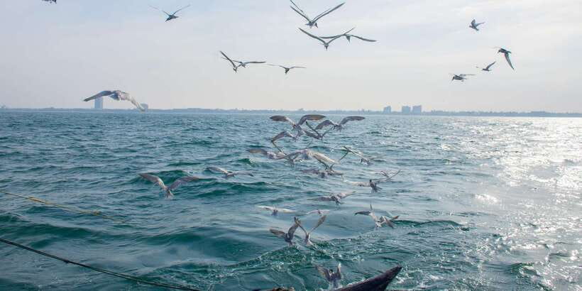 Negombo: Catamaran Sailing with Traditional Fishermen - Two Hours in the Indian Ocean: Where the Real Boat Time Happens