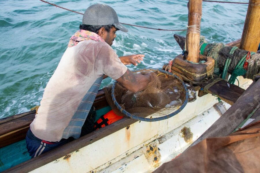 Negombo: Catamaran Sailing with Traditional Fishermen - Sea Birds, Snacks, and Camera Moments That Actually Happen
