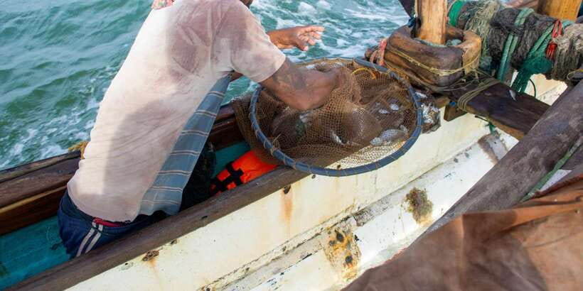 Negombo: Catamaran Sailing with Traditional Fishermen - The Guide Makes the Difference: Tharaka’s Role in Your Experience