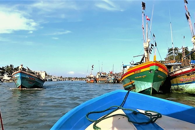 Negombo City Tour - Negombo Fish Market: boats, nets, and the rhythm of the coast