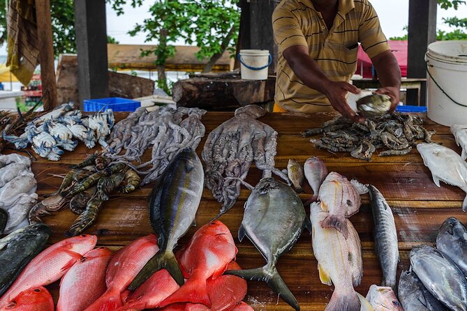 Negombo City Tour - Dutch Canal and Dutch Fort: European history in short, coastal snapshots