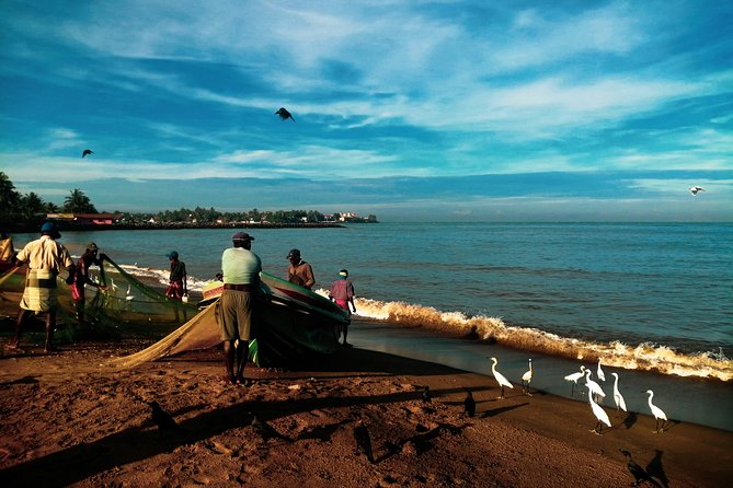 Negombo Day Tour - Meeting the Day with a Real Guide, Not a Script