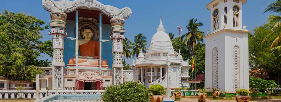 Negombo: Guided City Tour by Tuk Tuk with Hotel Pickup - Vegetable Market and Streets: Learning the City Beyond the Main Stops