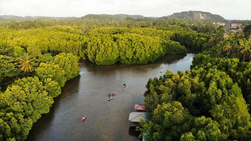 Negombo: Guided Kayaking Tour in the Lagoon - Key things you should know before you go