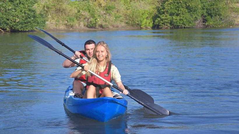 Negombo: Guided Kayaking Tour in the Lagoon - Floating through mangroves: where the wildlife and fishing culture meet