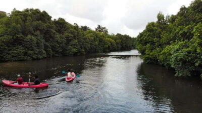 Guided Kayaking Tour in the Lagoon