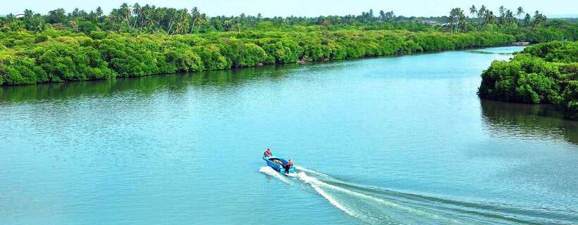 Negombo: Hamilton Canal to Colombo by Boat via Muthurajawela - Key highlights you will actually care about