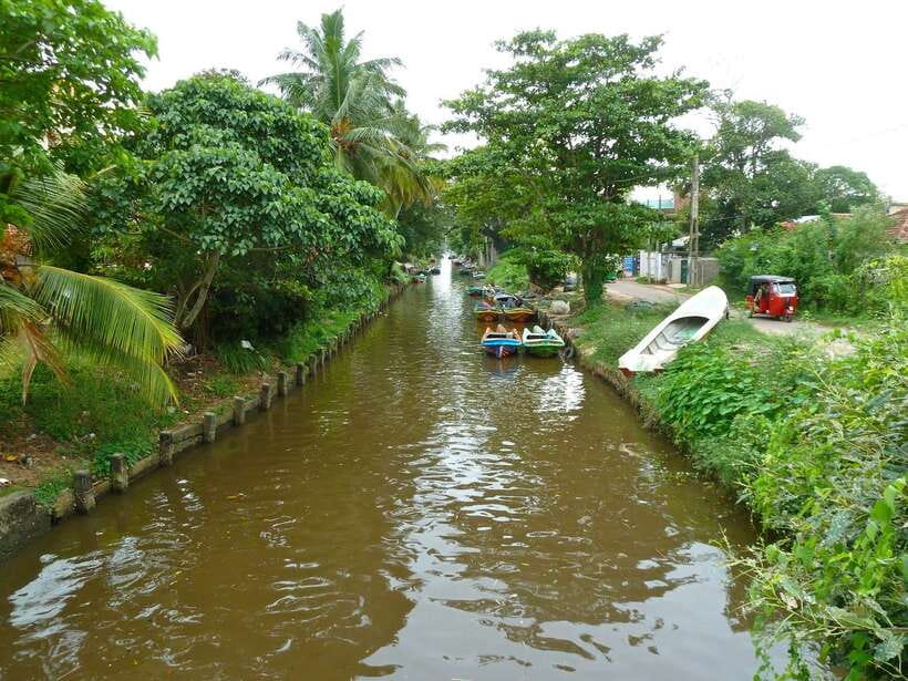 Negombo: Hamilton Canal to Colombo by Boat via Muthurajawela - Why the Dutch Canal out of Negombo feels like a shortcut through time
