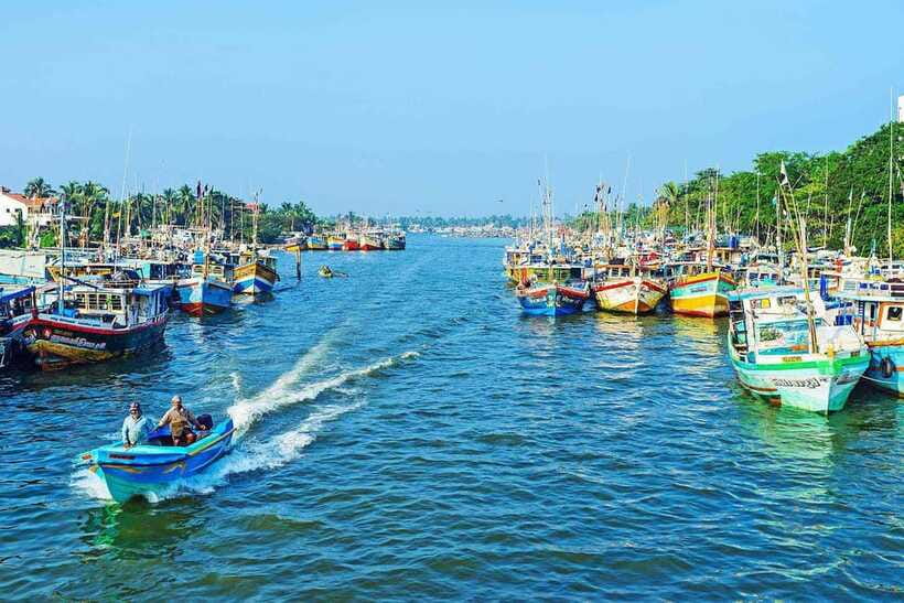 Negombo: Hamilton Canal to Colombo by Boat via Muthurajawela - Negombo Lagoon cruise: mangroves, fishing life, and bird spotting that feels doable