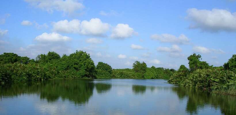 Negombo: Hamilton Canal to Colombo by Boat via Muthurajawela - Price and value: is $80 for this private boat outing fair?