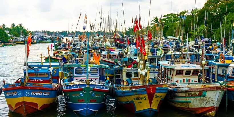 Negombo Heritage Walking Tour - A Negombo walking tour that makes the city make sense