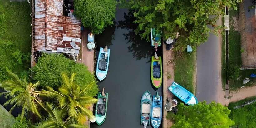 Negombo Heritage Walking Tour - The fruit and vegetable market stop you will remember