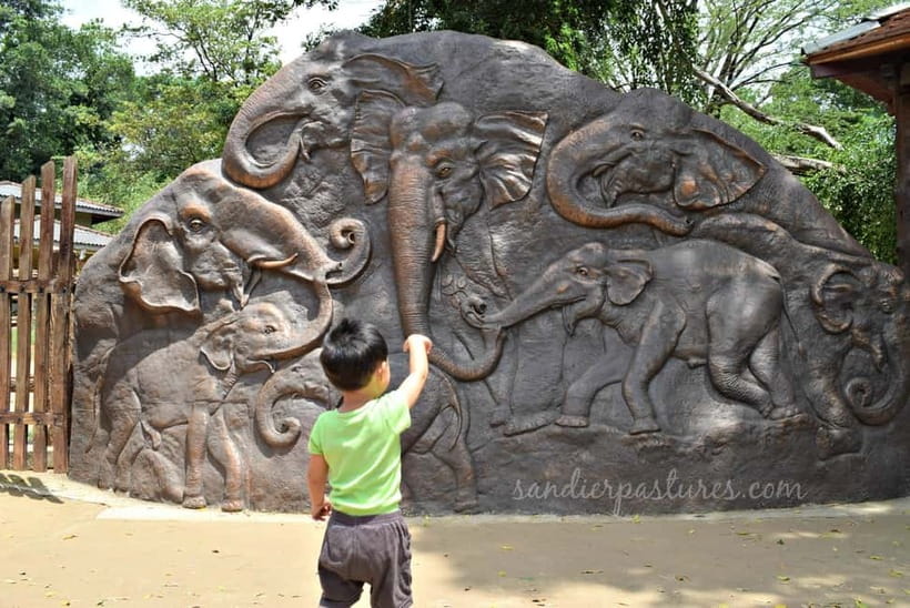 Negombo: Kandy and Pinnawala Elephant Orphanage Day Tour - A 14-hour day of elephants, tea, and Kandy culture