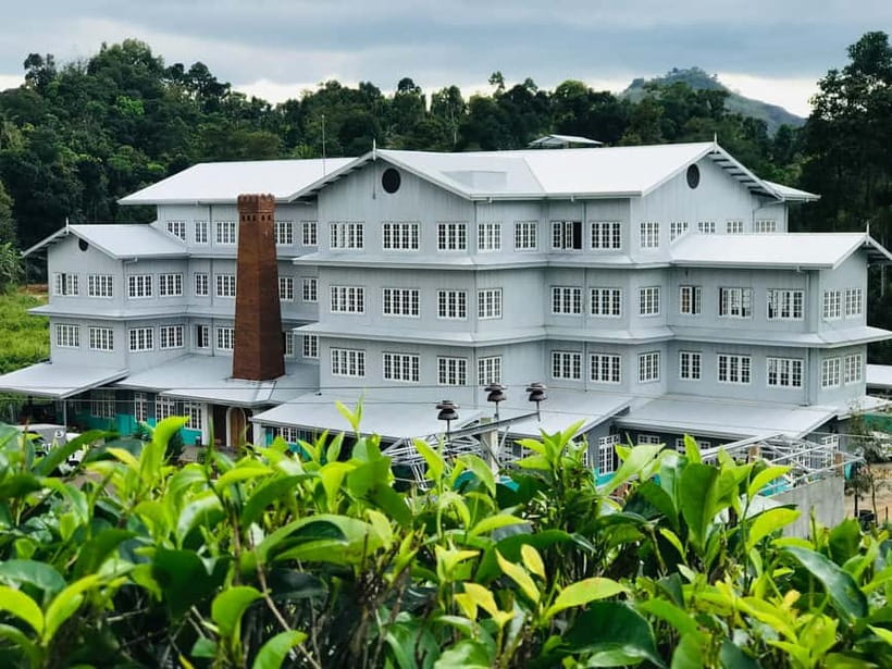 Negombo: Kandy and Pinnawala Elephant Orphanage Day Tour - Temple of the Sacred Tooth Relic, Kandy Lake photos, and Peradeniya gardens
