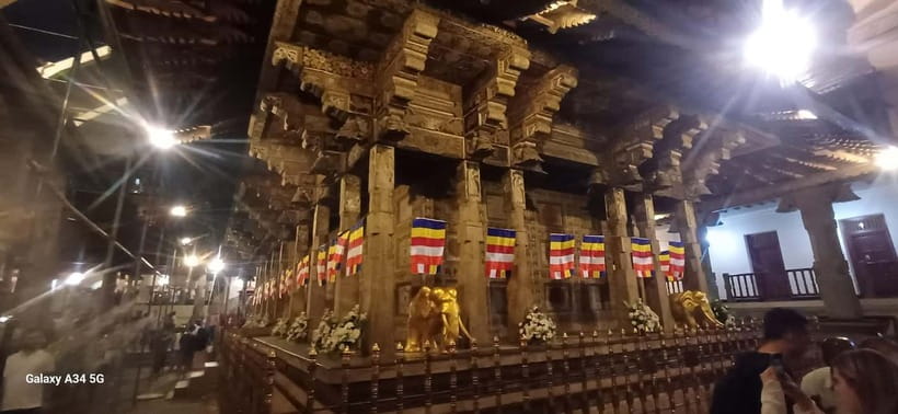 Negombo: Kandy and Pinnawala Elephant Orphanage Day Tour - Who should book this Negombo to Kandy day tour