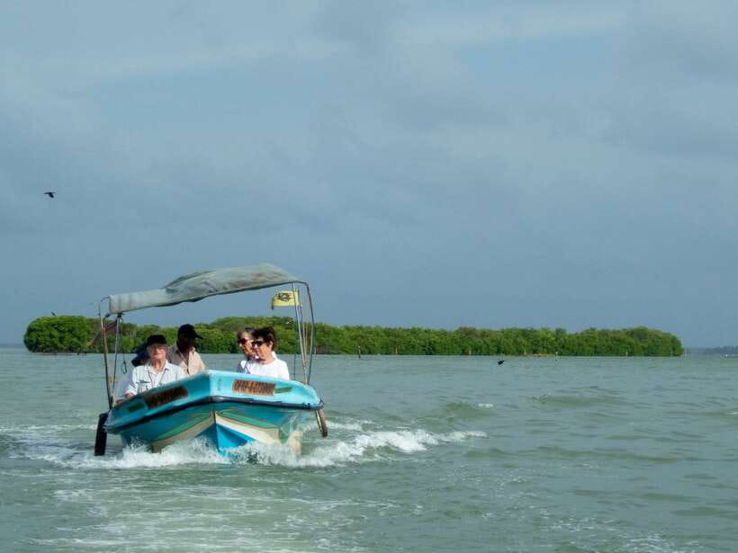 Negombo Lagoon (Mangrove ) Boat Excursion - Key highlights that make this Negombo lagoon tour special