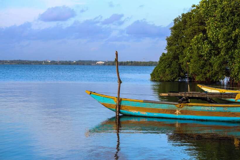 Negombo Lagoon (Mangrove ) Boat Excursion - Seafood lunch and refreshments: what to plan for on a long water day