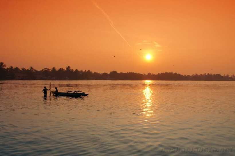 Negombo Lagoon (Mangrove ) Boat Excursion - Price and value: $120 for a private group up to 3