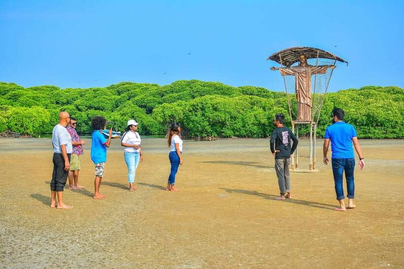 Negombo Lagoon (Mangrove ) Boat Excursion - How the 8-hour day actually flows from Negombo pickup