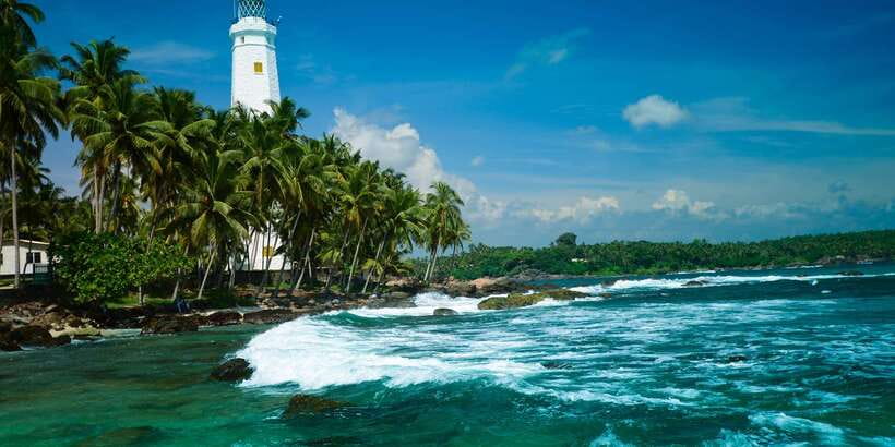 Negombo: Turtle hatchery, River safari, moon stone & Galle - Key highlights worth planning for