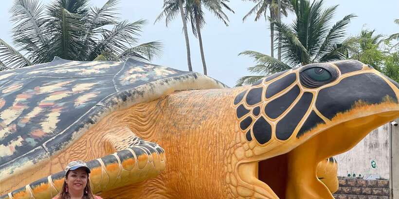 Negombo: Turtle hatchery, River safari, moon stone & Galle - Sea turtle hatchery at Kosgoda, conservation you can actually see