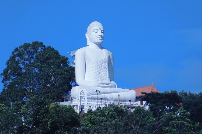 Nice 10 Days Tour in Sri Lanka - Polonnaruwa: ancient-city time with a modern road trip reality