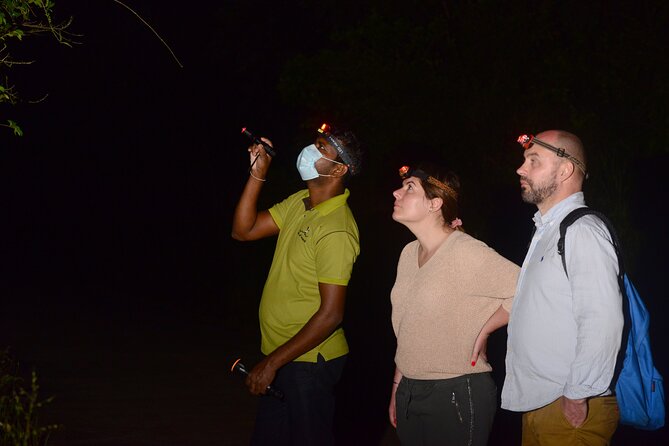 Night Hike to see Elusive & Rare Loris in Sigiriya - Entering the right mood at Rocko’s Vegetarian Cafe