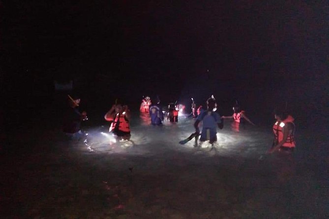 Night Snorkeling Experience in Mirissa - Key things I would focus on before you book
