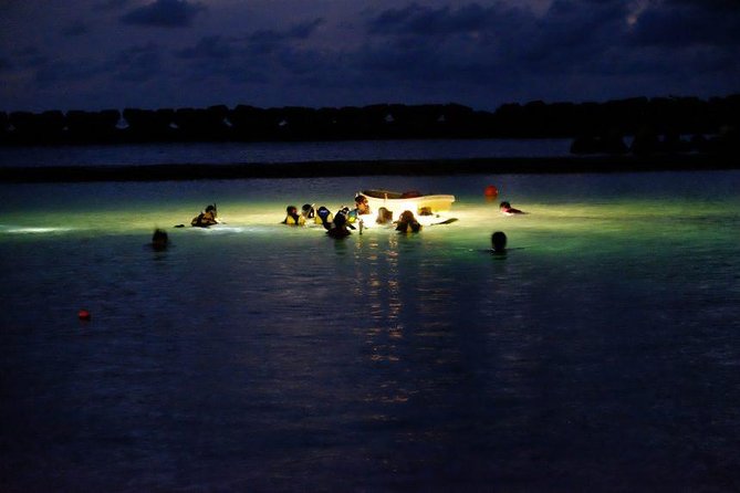 Night Snorkeling Experience in Mirissa - 7:30 pm meeting, private group, and how the night actually starts