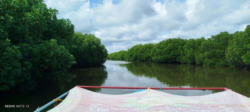 Nilaveli: Lagoon Boat Safari with Mangrove Exploration - Irakkandi Lagoon Near Nilaveli, and Why It’s Worth the Ride