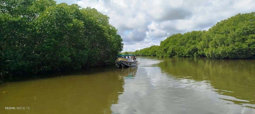 Nilaveli: Lagoon Boat Safari with Mangrove Exploration - What “Mangrove Exploration” Looks Like in Practice