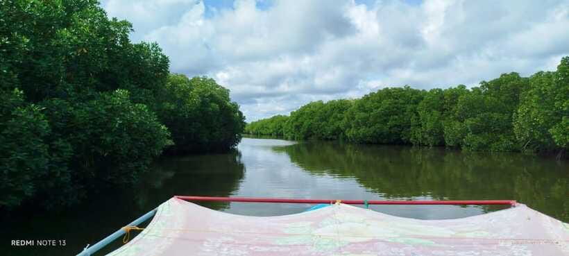 Nilaveli: Lagoon Boat Safari with Mangrove Exploration - Meeting Point at Pigeon Island Tours and the Trip Flow