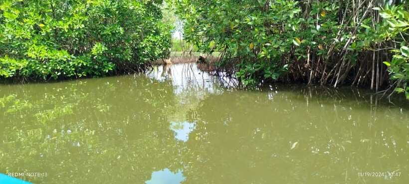Nilaveli: Lagoon Boat Safari with Mangrove Exploration - Languages, Communication, and What If You Want Deeper Explanations?
