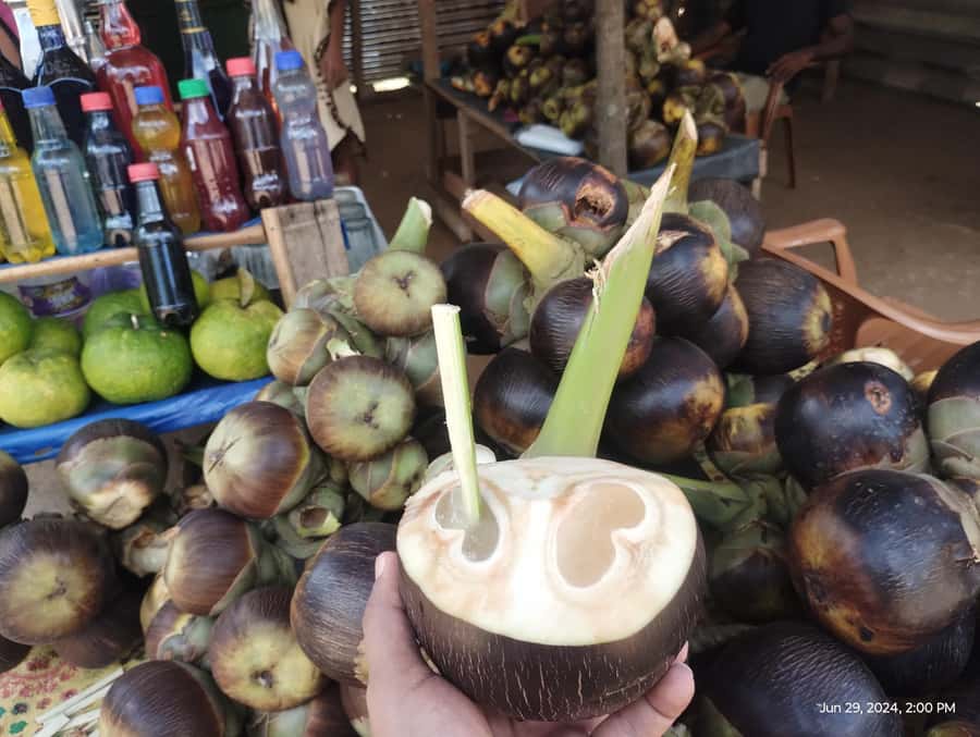 Nilaveli: Trinco City tour by Tuk Tuk - Price and value: what $30 includes, and what might cost extra
