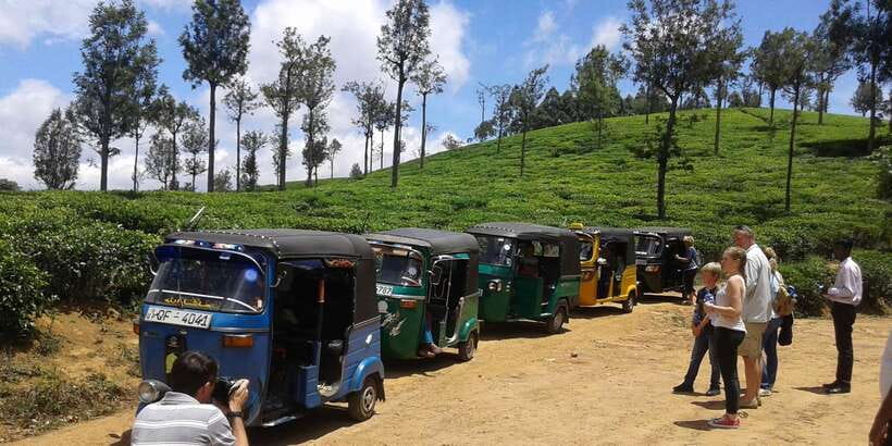 Nuwara Eliya: All-Inclusive Ella Sightseeing Private Tour - Little Adam’s Peak: The Gradual Climb With Big Ella Gap Views