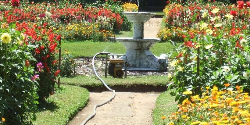Nuwara Eliya: All-Inclusive Private Sightseeing Day Tour - The Smart Way to See Nuwara Eliya in One Day