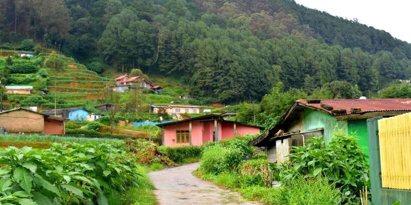 Nuwara Eliya: All-Inclusive Private Sightseeing Day Tour - Gregory Lake: A Calm End With Stroll or Boat Ride