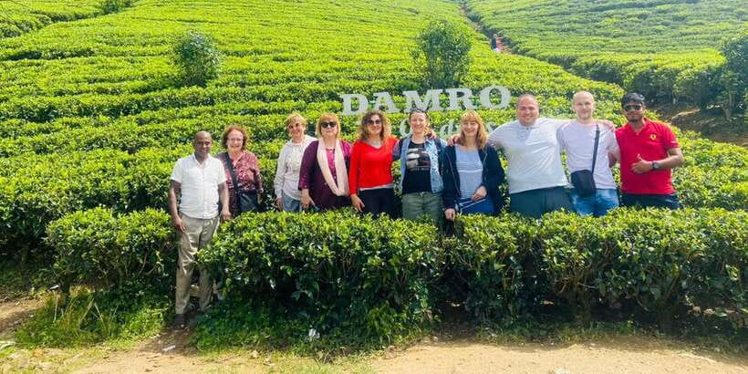 Nuwara Eliya Day Tour from Kandy (Private Tour) - Tea factory tour and Ceylon tea tasting: where the story becomes real