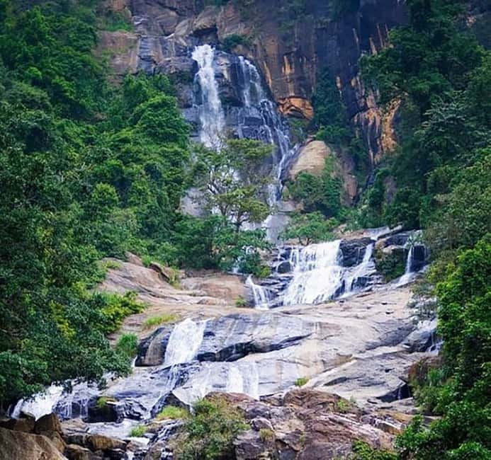 Nuwara Eliya Full day: 5Waterfalls, 2Tea Test & pick by TUK - Tea Testing and the Class Moment at Oak Ray
