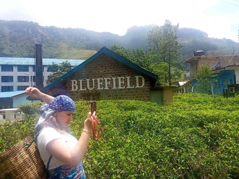 Nuwara Eliya Full day: 5Waterfalls, 2Tea Test & pick by TUK - Should You Book It? My Practical Decision Guide