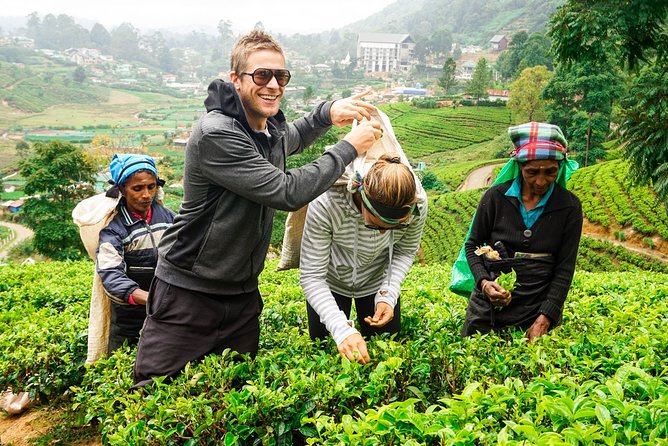 Nuwara Eliya Highlands from Kandy - Key Highlights You’ll Notice Fast