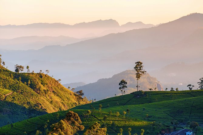 Nuwara Eliya Highlands from Kandy - The Central Highlands Shift: Kandy to Cool, Green Hill Country