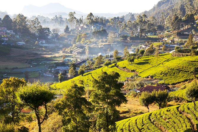 Nuwara Eliya Highlands from Kandy - Nuwara Eliya’s Victoria Park: Little England Vibes
